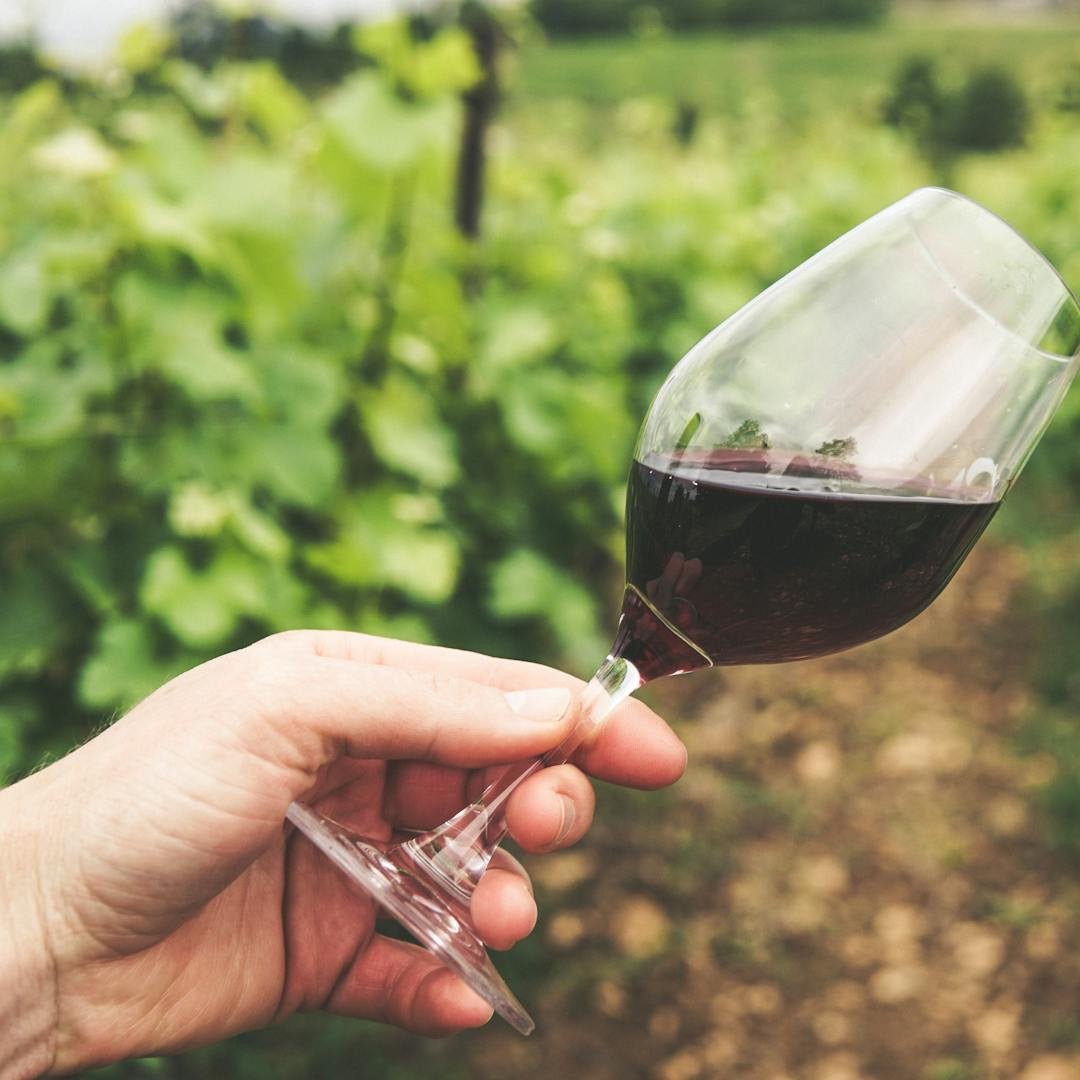 Französische Kultur: Weinproben und Weinregionen - Luca's Délice Gourmet