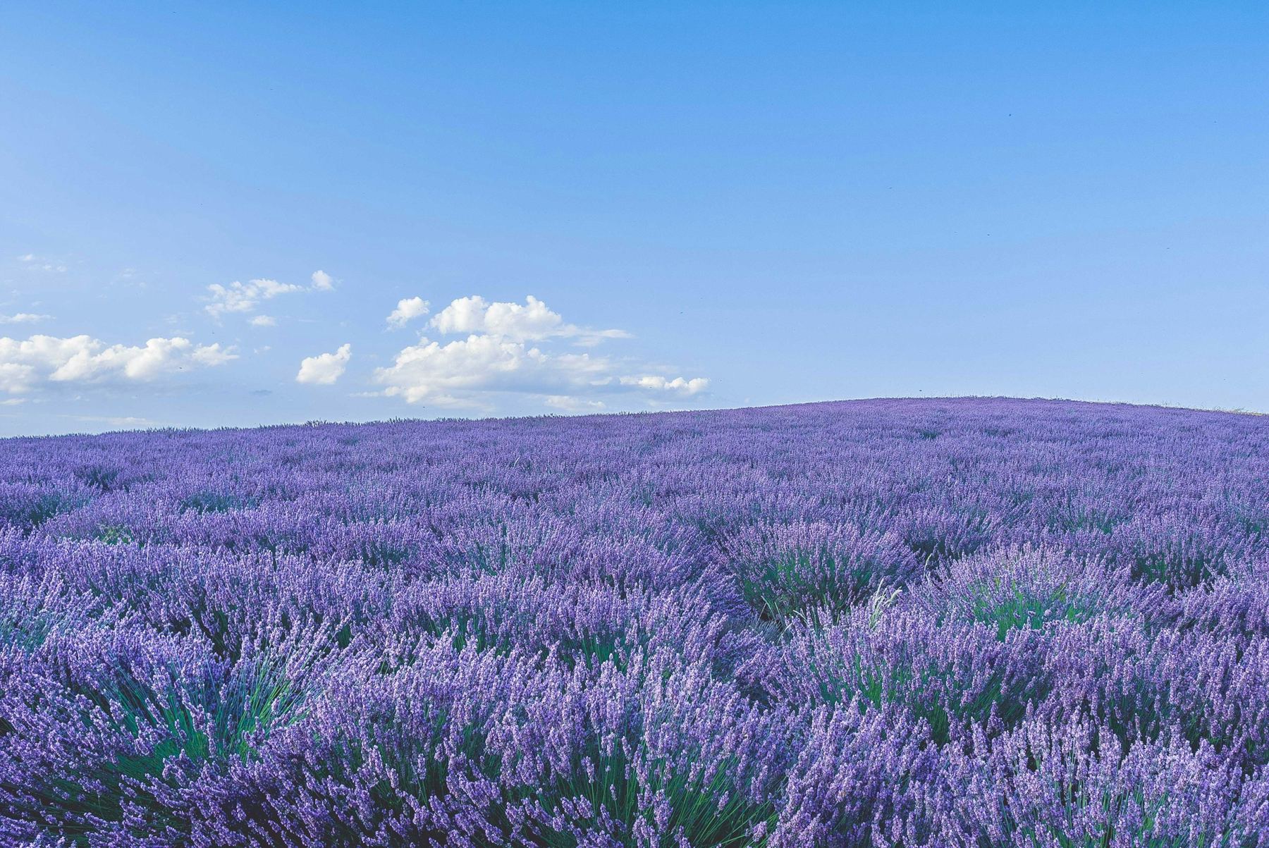 Ein Stück Provence